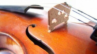 Violin Wallpaper Jpg