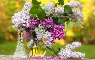 Wallpaper For Screensaver Flowers Lg To Your