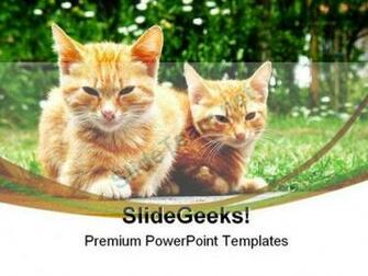 Powerpoint Templates On Animals Themes Ba