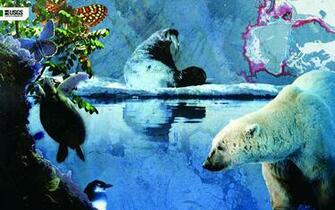 Usgs Science In Action Wallpaper Climate Change