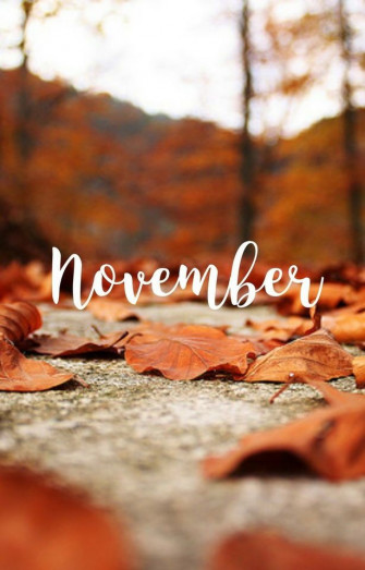 Dawn On New Months Week Days November Wallpaper Fall