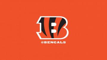 Cincinnati Bengals Fans Wallpaper