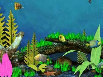 Fish Aquarium 3d Screensaver Beautiful Large With