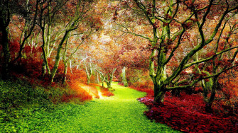 Early Fall Wallpaper
