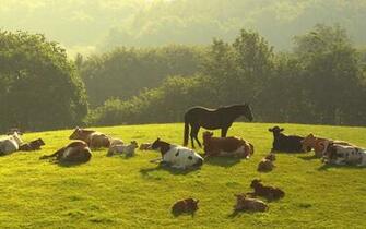Sunlight Hills Scenic Farm Wallpaper
