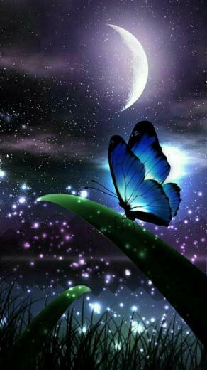 Wallpaper By Artist Unknown Butterflies Butterfly