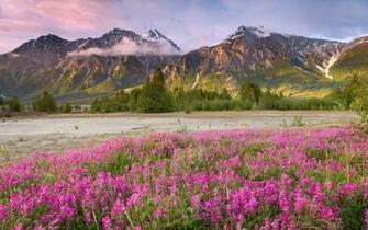 Spring Mountains Desktop Wallpaper HD