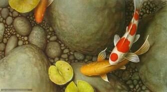 Carp Water Lily Pond Leaves Stones Pebble Art Koi Fish