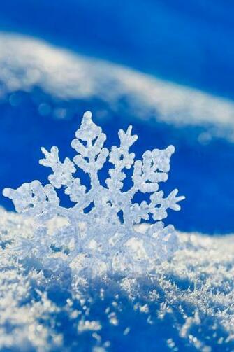 Blue Winter iPhone Wallpaper