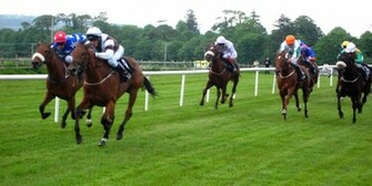 Horse Racing Wallpaper Brown