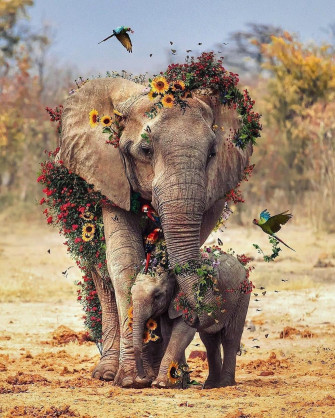 Africa Culture Wallpaper