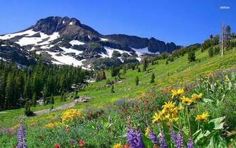 Mountain Spring Wallpaper Nature