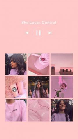 Shawmila Ideas In Shawn Mendes Camila Cabello