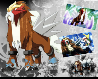 Entei Wallpaper By Ultimateanimegirl