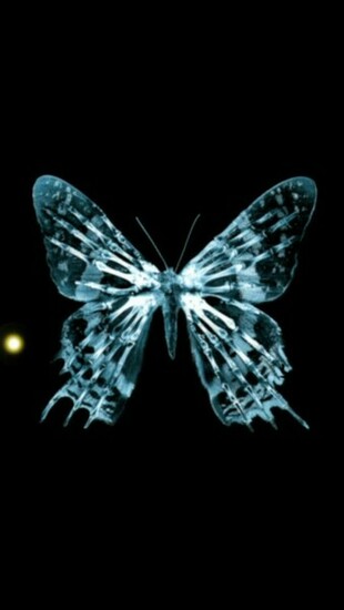 Butterfly Fringe iPhone 5s Wallpaper