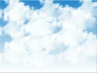 Funny Animal Picture Beautiful Animals Clouds Wallpaper