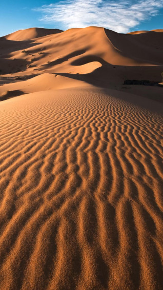 Desert Aesthetic Wallpaper