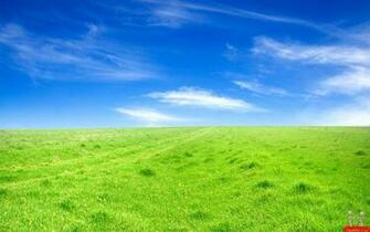 Greenery Scenery Desktop Wallpaper HD