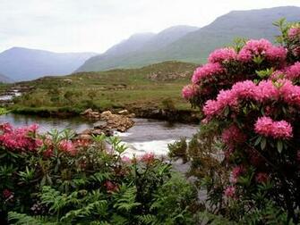 Ireland Nature HD Wallpaper Pack Photo Of Phombo