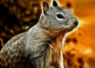 You Are Looking For Some Fractal Animals Your Desktop Hopefully It
