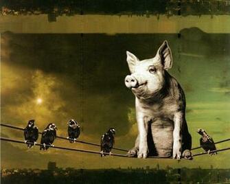 Pink Floyd Animals Wallpaper