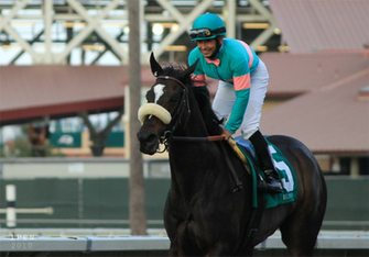 Zenyatta Wallpaper And Mike Smith By