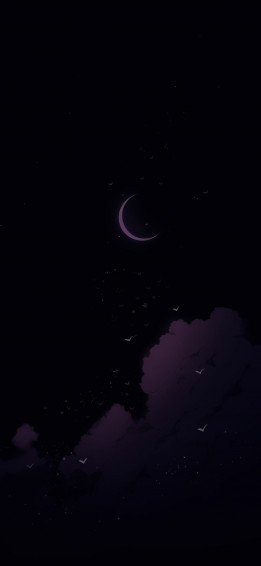 Night Aesthetic Wallpaper