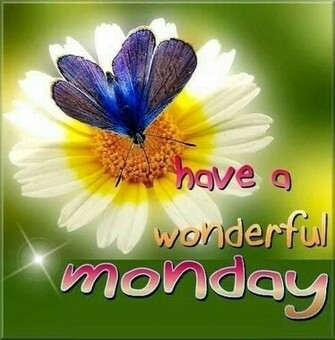 Amazing Sunday Morning Photo S HD Wallpaper Festival Chaska