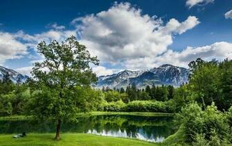 Summer Landscape In The Mountains Wallpaper And Image