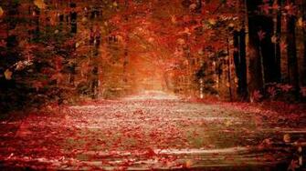 Wallpaper Gallery Windows Autumn Theme HD