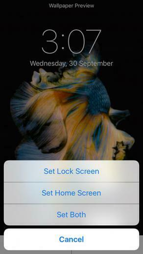 Set And Use Live Wallpaper On iPhone 6s Plus