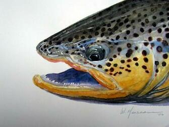 Brown Trout Wallpaper Portrait By