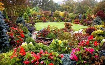 Spring Forest Wallpaper And Image Pictures Photos