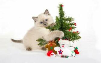 Holiday Christmas Wallpaper