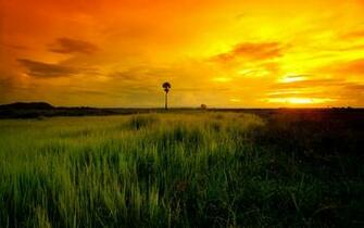 Cambodia Wallpaper Best