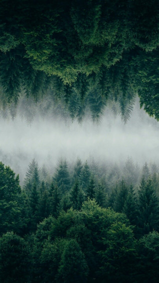 Wallpaper For Android iPhone