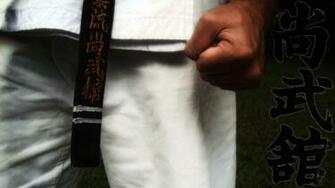 Martial Arts Computer Wallpaper Desktop Background Id