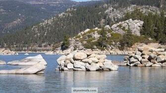 Lake Tahoe Wallpaper Image