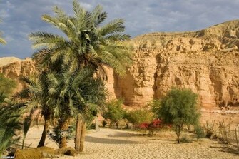 Middle East Desktop Wallpaper On Latoro