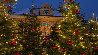 Christmas Market Christkindlmarkt Hellbrunn Palace
