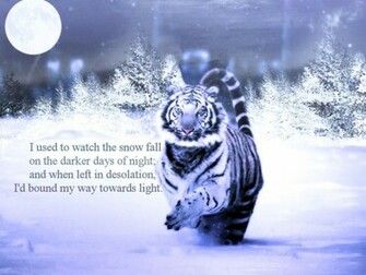 Winter S Silent Solstice Wallpaper Create
