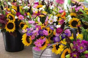 Fall Flowers Wallpaper