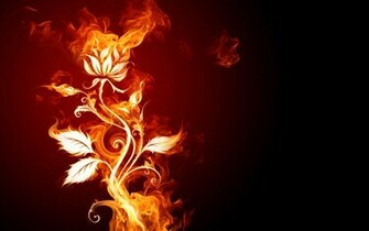 Fire Flower Computer Desktop Wallpaper Pictures Image
