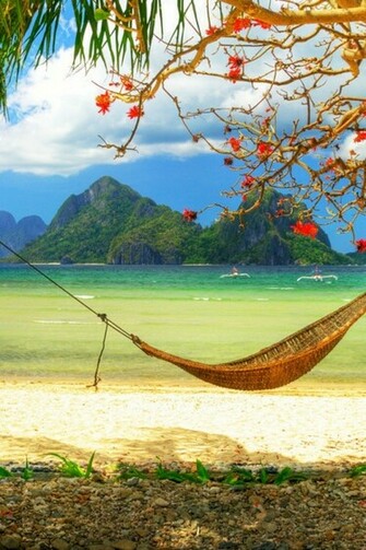 Tree Leaves Beach Relax Privacy Wallpaper Background iPhone 4s