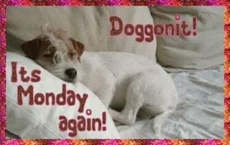 Monday Sms Happy Today Hindi Good Morning