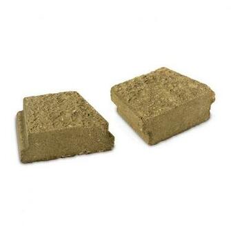 Shop Allen Roth Tan Insignia Edging Stone Common In X