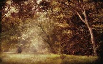Enchanted Forest Wallpaper