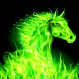 Cool Colorful Animal Background Wallpaper