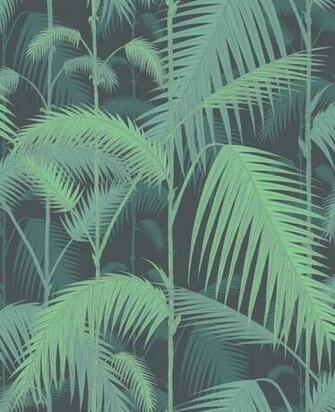 Palm Frond Wallpaper Roll Tropical Beach Palms