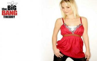 Wallpaper Desktop The Big Bang Theory 100409131343